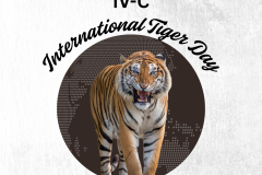 World Fresh Breath Day (Instagram Post) - 1