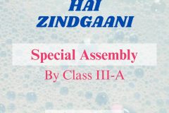 special assembly cover - 5